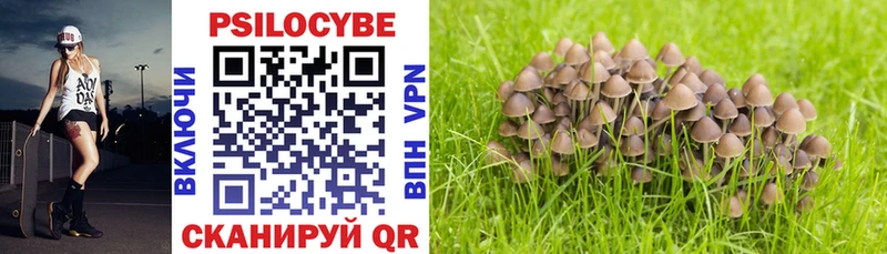 Галлюциногенные грибы прущие грибы  Учалы 